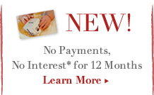 NEW! No payments, No Interest* for 12 Months
