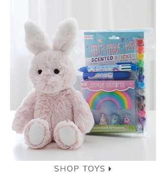 SHOP TOYS