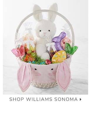 SHOP WILLIAMS SONOMA