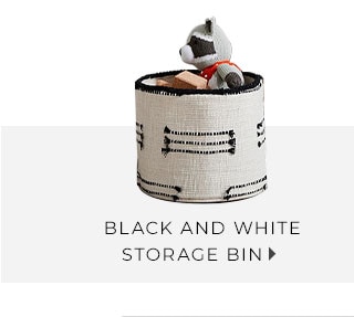 BLACK AND WHITE STORAGE BIN