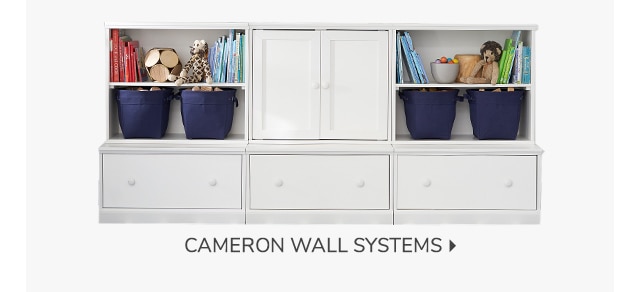 CAMERON WALL SYSTEMS