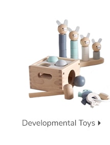 DEVELOPMENTAL TOYS