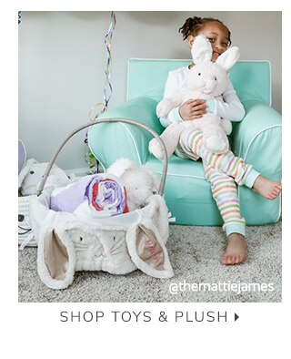 SHOP TOYS & PLUSH