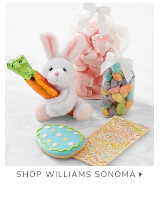 SHOP WILLIAMS SONOMA