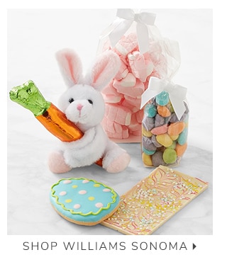 SHOP WILLIAMS SONOMA