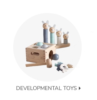 DEVELOPMENTAL TOYS