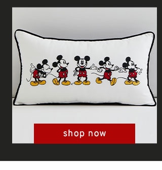 PILLOW - SHOP NOW