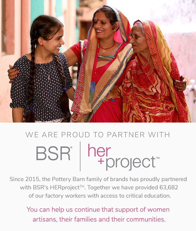 WE ARE PROUD TO PARTNER WITH BSR'S HERPROJECT