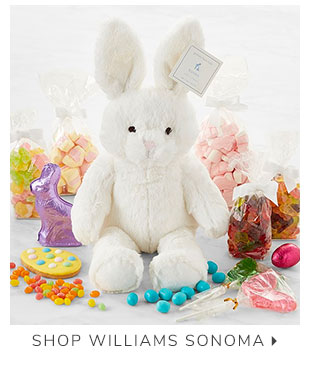 SHOP WILLIAMS SONOMA