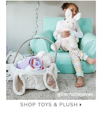 SHOP TOYS & PLUSH