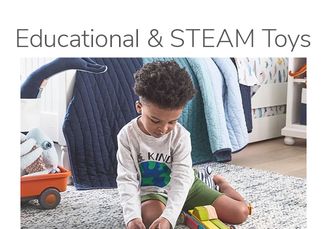 EDUCATIONAL & STEAM TOYS