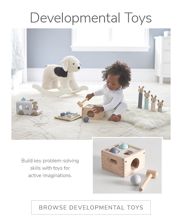 DEVELOPMENTAL TOYS