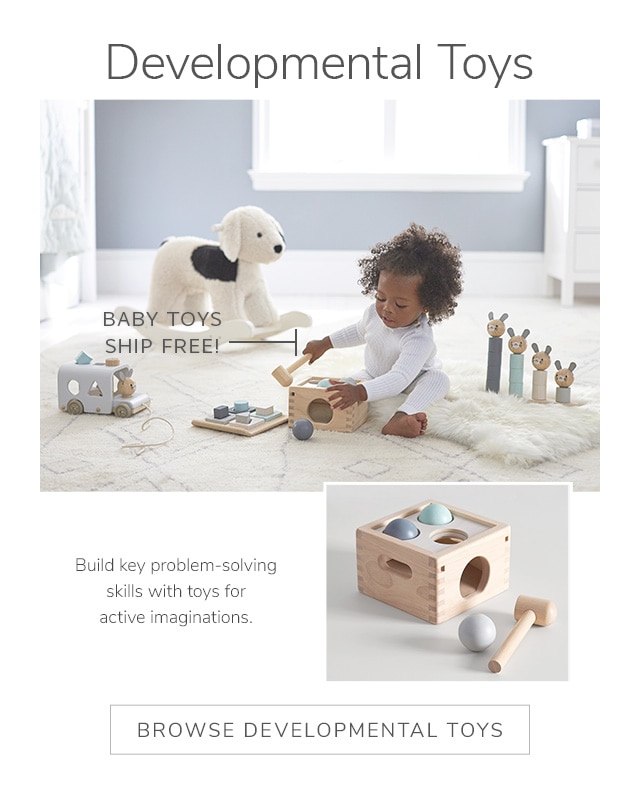 DEVELOPMENTAL TOYS