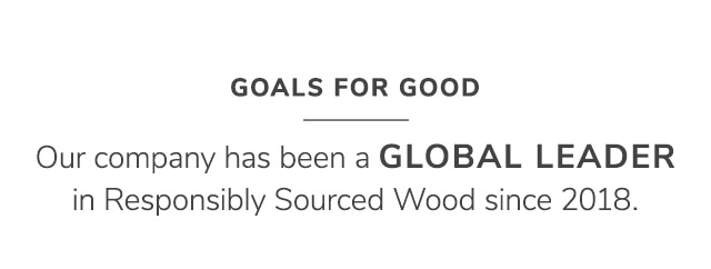 GOALS FOR GOOD