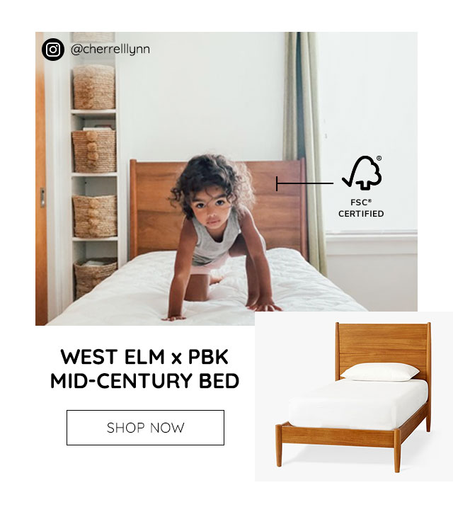 WEST ELM X PBK MID-CENTURY BED