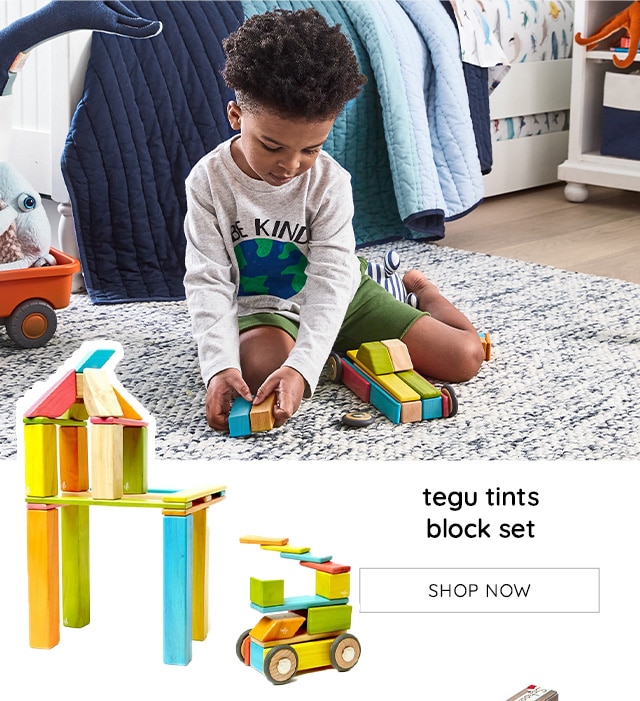 TEGU TINTS BLOCK SET