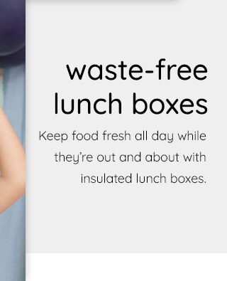 WASTE-FREE LUNCH BOXES