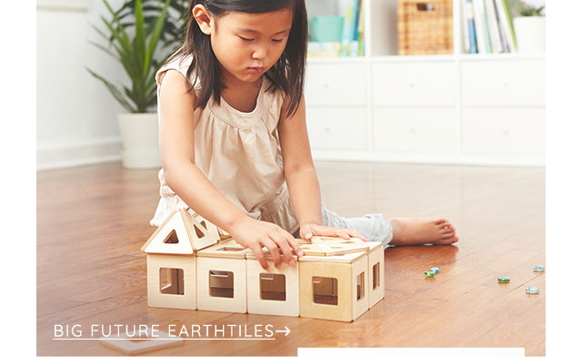 BIG FUTURE EARTHTILES