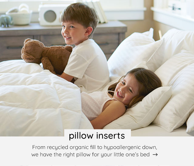 PILLOW INSERTS