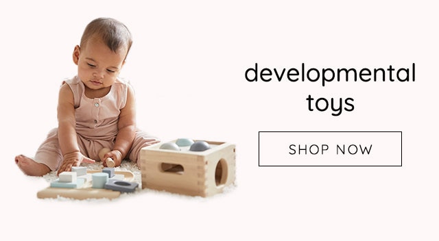 DEVELOPMENTAL TOYS