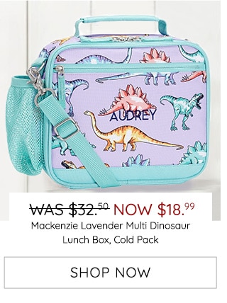 LAVENDER MULTI DINOSAUR LUNCH BOX