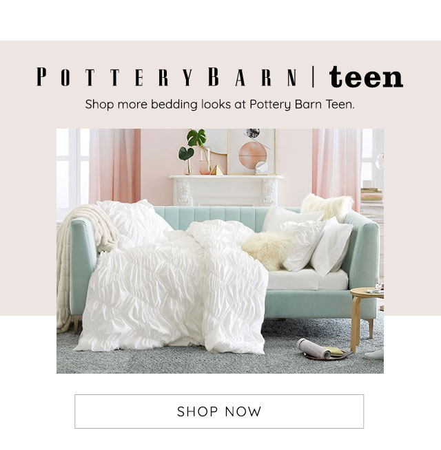 POTTERYBARN TEEN