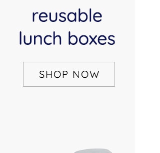 REUSABLE LUNXH BOXES