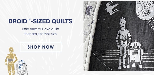 DROID™ 0 SIZED QUILTS