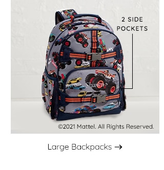 LARGE BACKPACKS