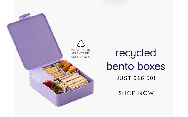 RECYCLED BENTO BOXES