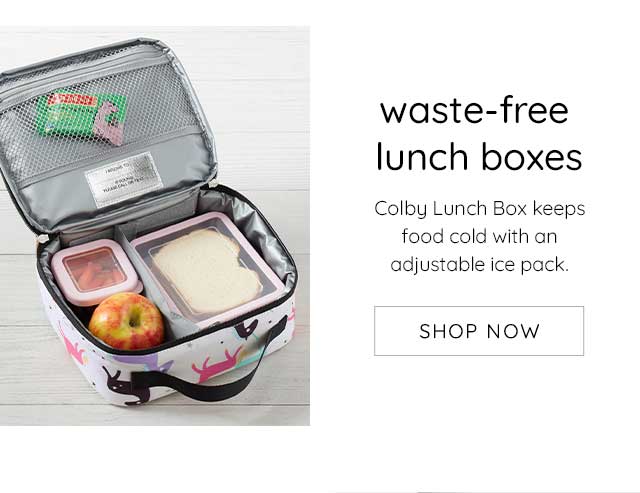 WASTE-FREE LUNCH BOXES