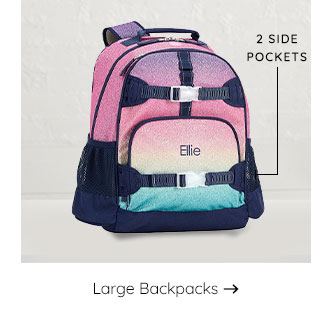 LARGE BACKPACKS