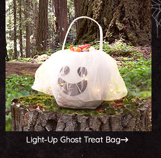 LIGHT-UP GHOST TREAT BAG