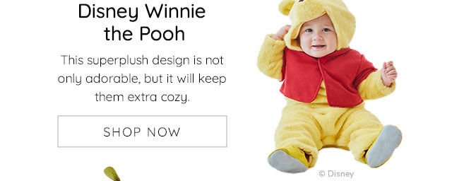 DISNEY WINNIE THE POOH