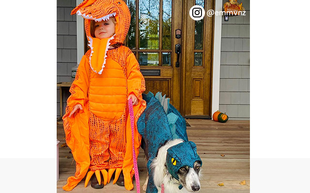 DINOSAUR COSTUME