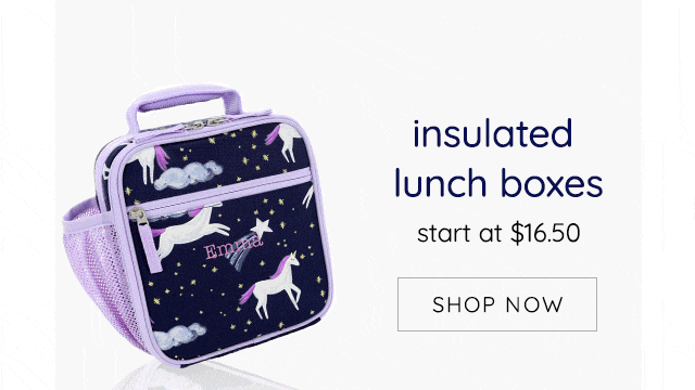 INSULATED LUNCH BOXES