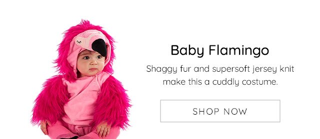 BABY FLAMINGO