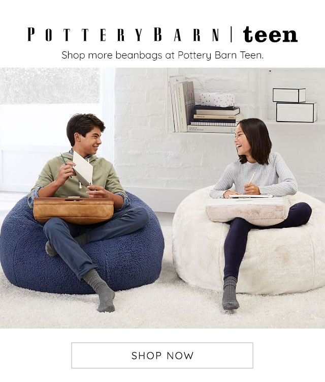 SHOP MORE BEANBAGS AT POTTERY BARN TEEN.