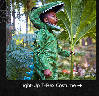 LIGHT-UP T-REX COSTUME