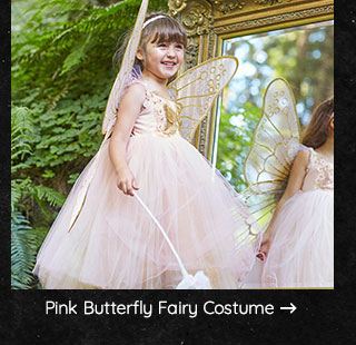 PINK BUTTERYFLY FAIRY COSTUME