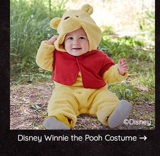 DISNEY WINNIE THE POOH COSTUME