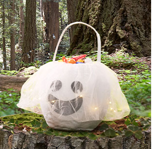 LIGHT UP GHOST TREAT BAG