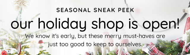 SEASONAL SNEAK PEEK - OUR HOLIDAY SHOP IS OPEN