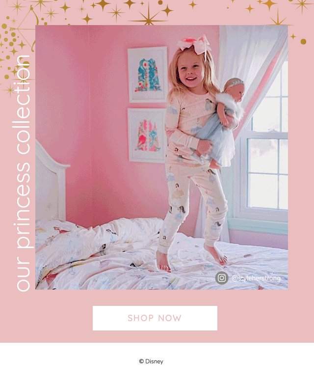 SHOP THE DISNEY PRINCESS COLLECTION