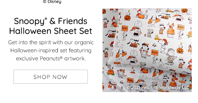 SNOOP® & FRIENDS HALLOWEEN SHEET SET