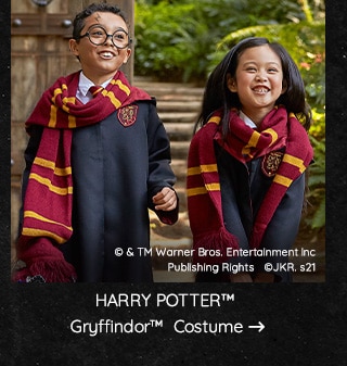 HARRY POTTER GRYFFINDOR COSTUME