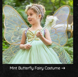 MINT BUTTERFLY FAIRY COSTUME