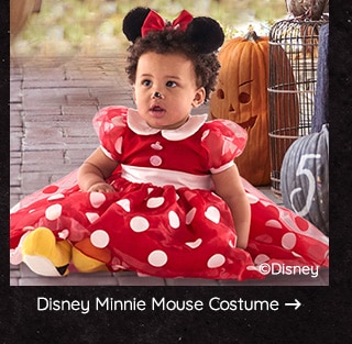 DISNEY MINNIE MOUSE COSTUME