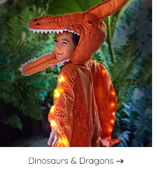 SHOP DINOSAURS AND DRAGONS