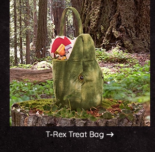 SHOP T-REX TREAT BAG